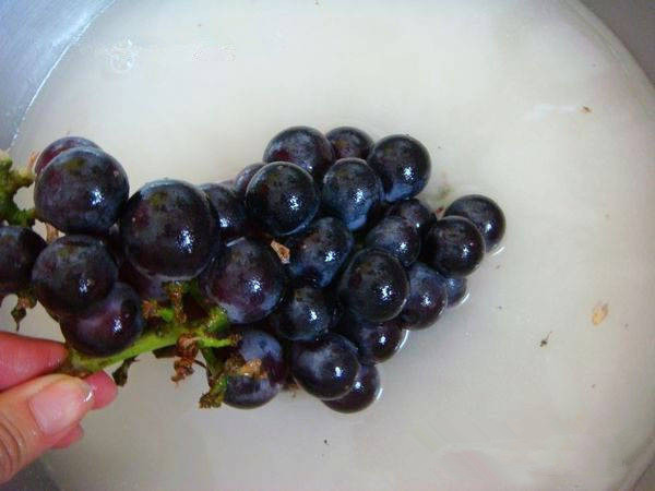 在秋天多吃葡萄没有坏处