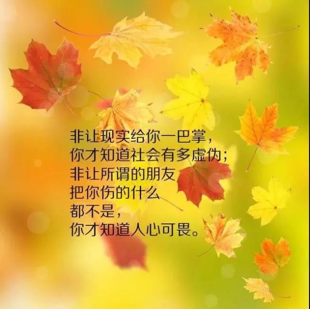 适合发微信的说说心情语句 触动心底的短语