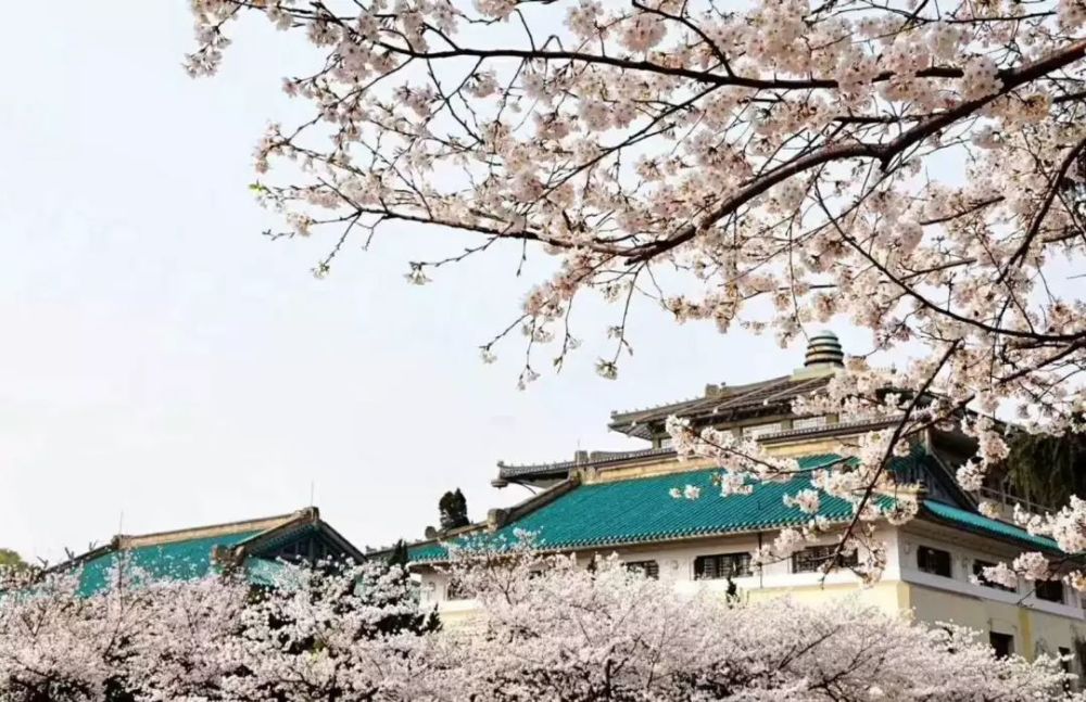 武汉:公车司机,被工作耽误的赛车手