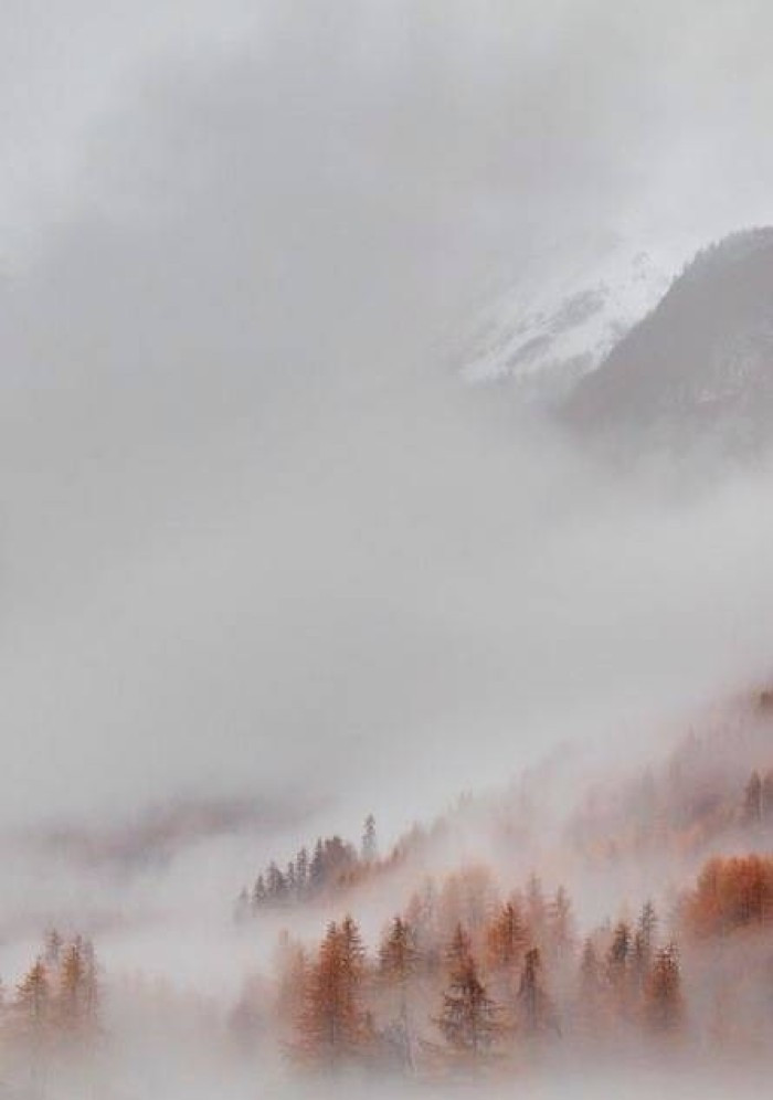 只有诗佛才能写出这样的文字,极富禅机和生命