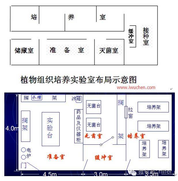 组培实验室设计及基本设备