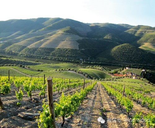 七大世界文化遗产葡萄酒产区,值得一去