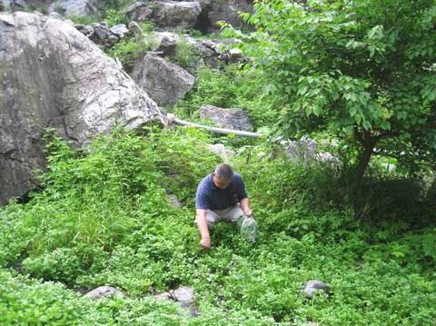 不想得幽门螺旋杆菌,这些食物绝对不能空腹吃