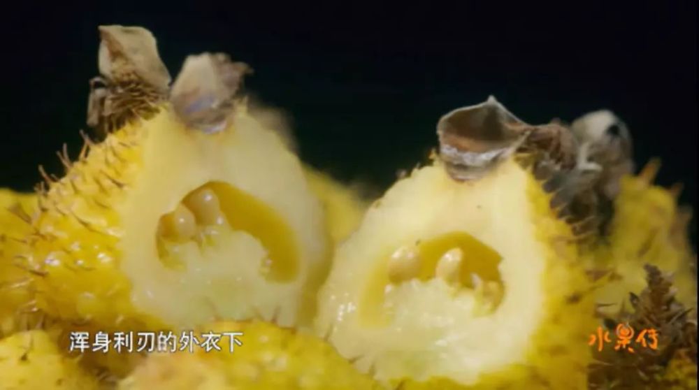 改头换面颜值超高!豆瓣评分8.8!