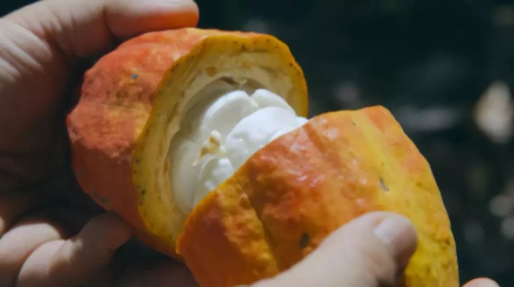 改头换面颜值超高!豆瓣评分8.8!