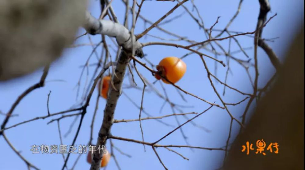 改头换面颜值超高!豆瓣评分8.8!