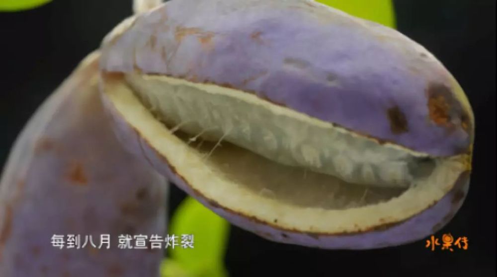 改头换面颜值超高!豆瓣评分8.8!