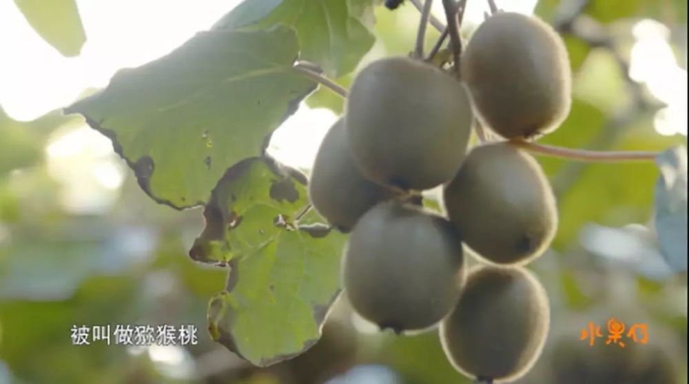 改头换面颜值超高!豆瓣评分8.8!