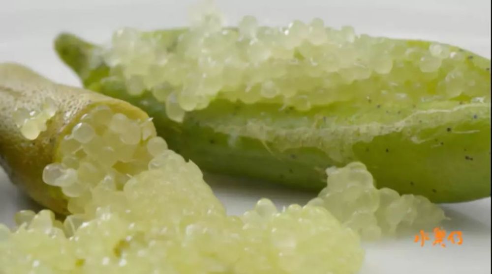 改头换面颜值超高!豆瓣评分8.8!