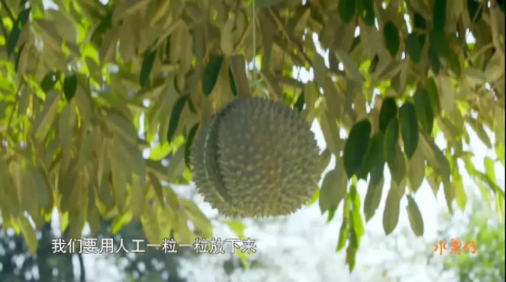 改头换面颜值超高!豆瓣评分8.8!