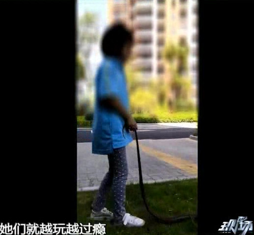 东莞两小孩小区内遛蛇 竟是家长为锻炼孩子胆
