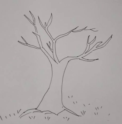 秋天到了,每到起风的时候树叶就会纷纷飘落,树上的树叶慢慢就会全部