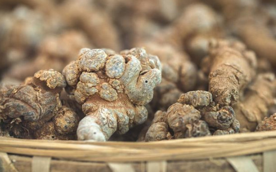 三高患者能吃三七粉吗?三七的功效和服用注意