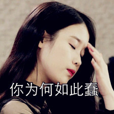 柯基被主人带去参加音乐节,跟随音乐一起社会