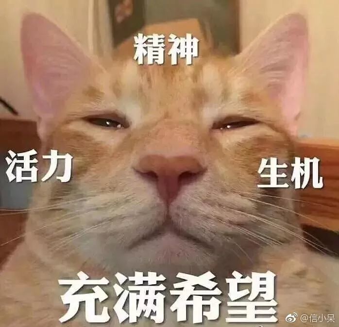 这些沙雕父母的聊天记录,够我笑到2021年了哈哈哈哈哈