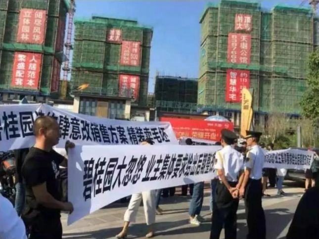 其实碧桂园的业主维权事件远远不止这一件.