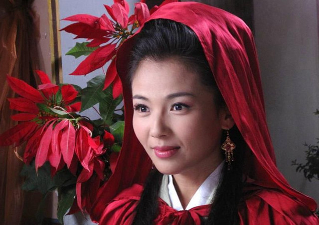 刘涛演过的古装角色:阿朱青涩,周娥皇惊艳,最后一个不