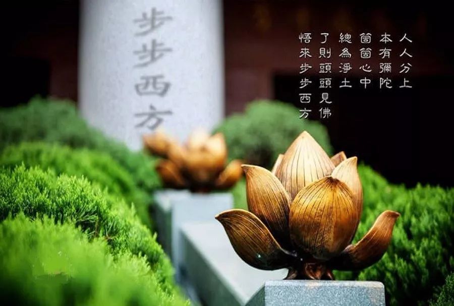 念佛人如何给自己定一个合理的目标?