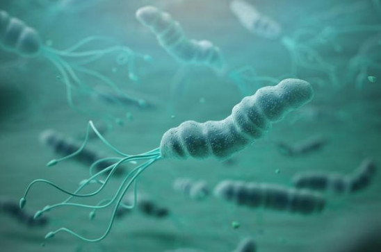 幽门螺旋杆菌根治用三联还是四联?是否都需要