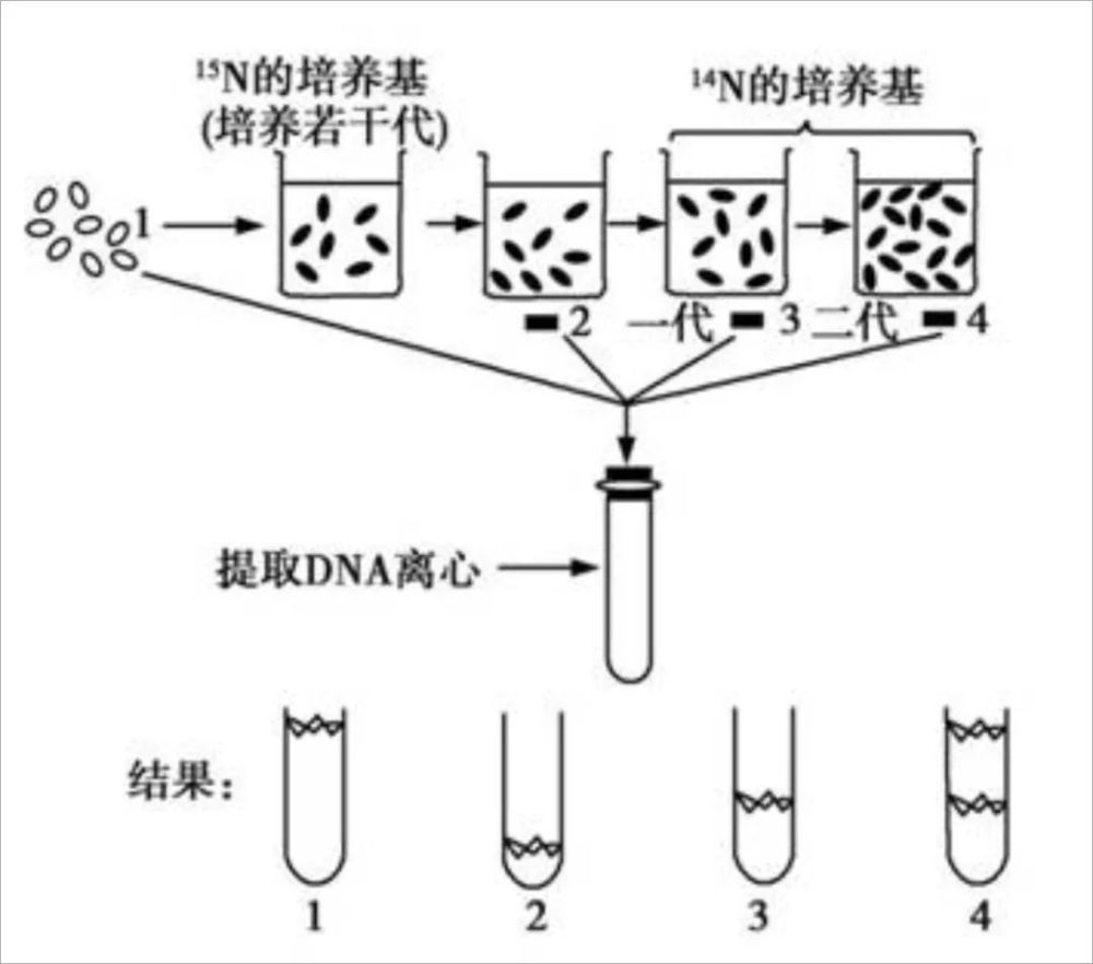 天天快报