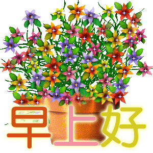 早上好!一声祝福带给你一天好运,祝你一天心情美美哒!