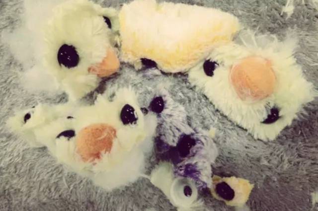 这就是那么多事故发生的原因!