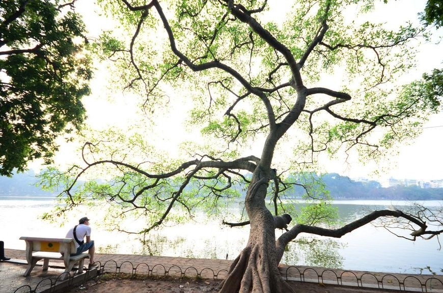 越南一些商店禁止中国游客入内,称:不卖中国人