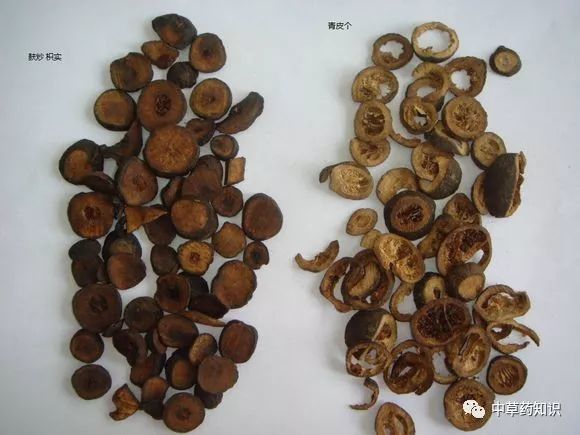中药材:青皮