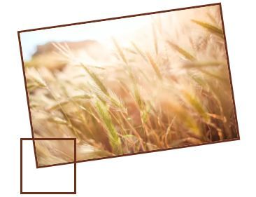 91家寿险公司最新规模保费市场份额及增速大