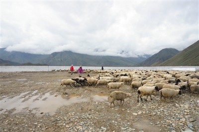 42个产业项目落地 北京引擎助拉萨脱贫