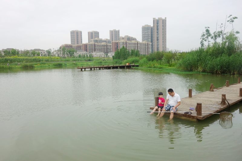 保利狮子湖紧挨香城公园.这里有非常大的草坪.