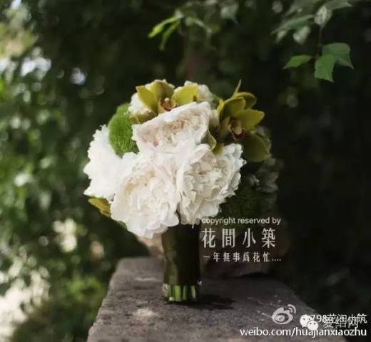 笑飞 | 宅男费纸,宅女费电,棒小伙美姑娘都和爱