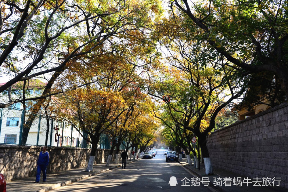 山东省名字最好听的城市,因四季常青而得名,被