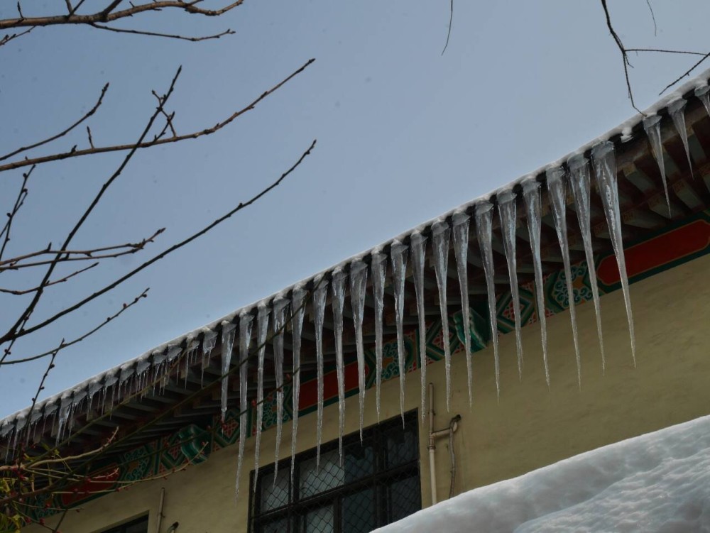 今年冬天会冷到哭?官方澄清:纯属谣言!