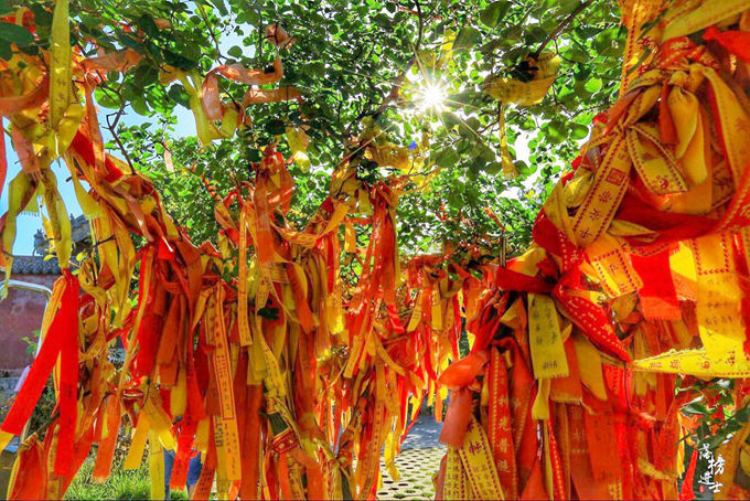 每逢重阳节大家都会想到王维的诗,可是茱萸峰