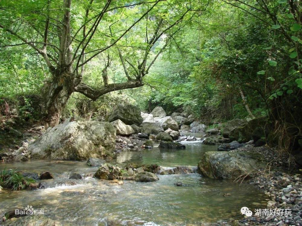 地址:湖南省怀化市黄岩旅游度假区管理处白马村