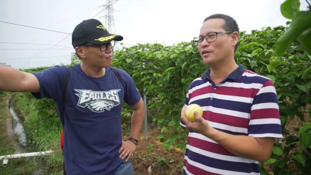 这种黄金百香果全国只有千分之六的人吃过,号