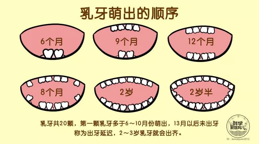 宝宝的牙齿怎么保护才好?口腔卫生和定期检查
