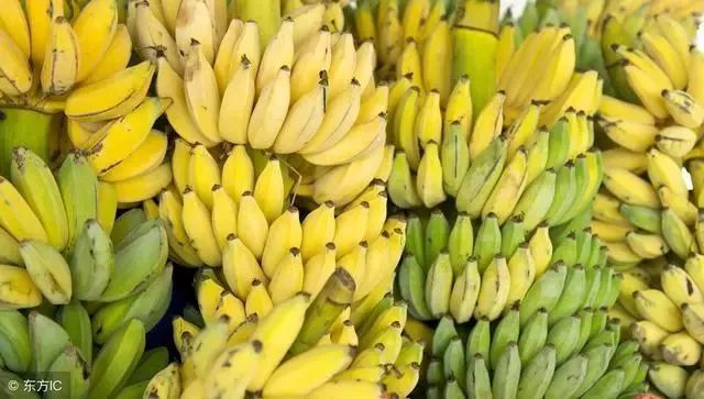 吃香蕉可以缓解便秘?这些年你可能都错了
