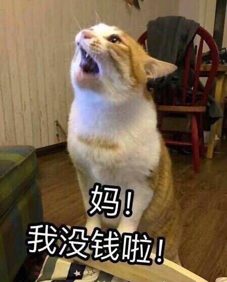 能否给贫穷的小女儿一些生活费呢?嘤嘤嘤,可以嘻嘻嘻!
