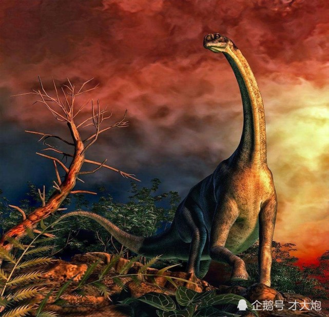 最后一次大灭绝是大约6500万年前恐龙的灭绝.