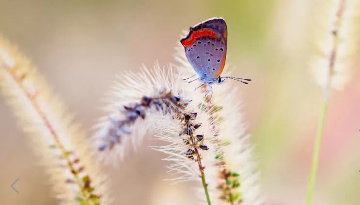 从35岁大龄剩男追求女人的失败案例,看男人追