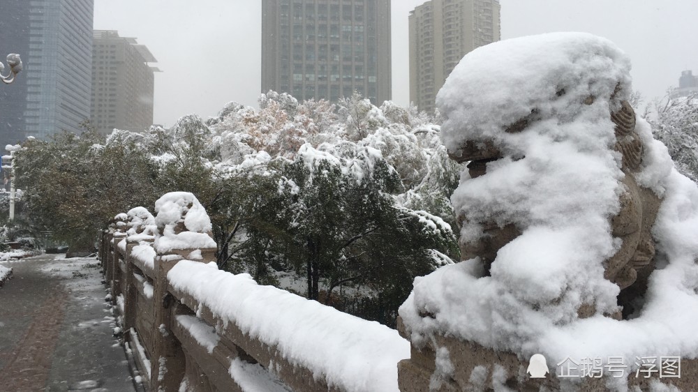 新疆乌鲁木齐迎下雪啦!城市银装素裹落满厚厚积雪
