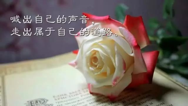 早起点好看 2021顺风顺水