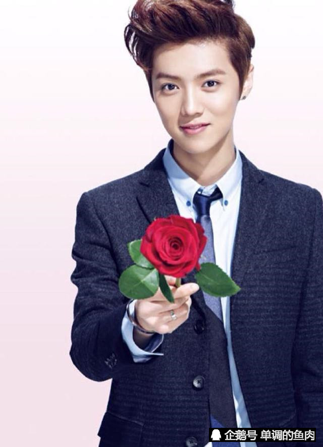 鹿晗演唱会郑州站临时取消,门票打折也卖不出