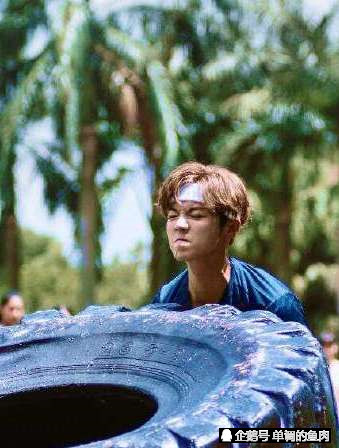 鹿晗演唱会郑州站临时取消,门票打折也卖不出