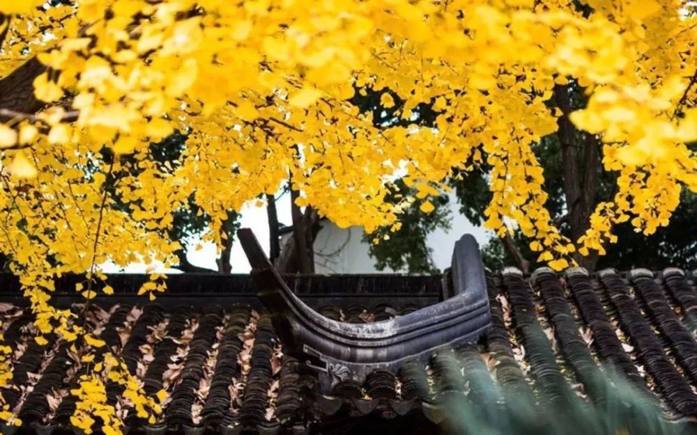 人闲桂花落,夜静春山空.