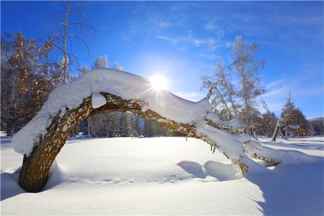 热浪中的雪落，解梦背后的情感与心理探索