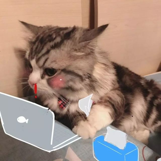 求图# 抖音何坤表情包,小岳岳转圈gif