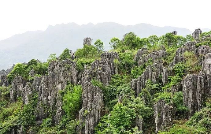 【地理视野】关于岩溶地貌景观的最全整理